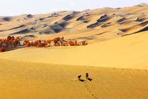 Cận cảnh cuộc sống ở ngôi làng biệt lập giữa sa mạc