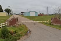 Mẹ bỏ con nhỏ trong ô tô giữa nắng nóng để đi...cưỡi ngựa