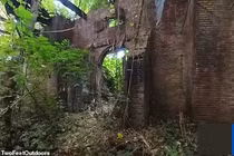 Cảnh rùng rợn trong hòn đảo bỏ hoang 60 năm ở New York