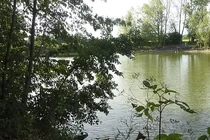 Cô gái trẻ bị hai người nhập cư cưỡng hiếp gây phẫn nộ