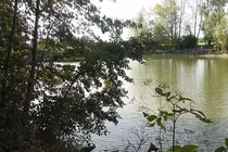 Cô gái trẻ bị hai người nhập cư cưỡng hiếp gây phẫn nộ