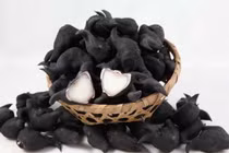 Suýt mất mạng vì củ ấu tàu: Tiết lộ chất độc chết người