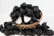 Suýt mất mạng vì củ ấu tàu: Tiết lộ chất độc chết người