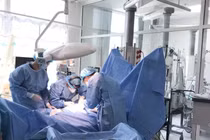 Suy đa tạng, tử vong...loạt hậu quả đáng sợ vì ong đốt