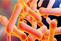 3 ca mắc bạch hầu tử vong, Bộ Y tế chỉ đạo khẩn