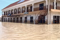 Lũ lụt cuốn trôi rắn, cá sấu vào khu dân cư