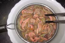 Con vật khiến nhiều chị em “chạy mất dép”, giá cao vẫn đắt khách