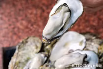 Ăn hàu để thể hiện khả năng “yêu” với bạn gái, trai trẻ nhận kết đắng