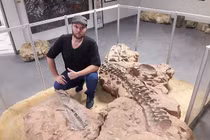 Kinh dị cá sấu quái vật chuyên ăn thịt khủng long 210 triệu năm tuổi