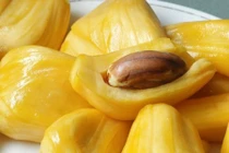 Việt Nam sở hữu loại quả được mệnh danh là "cứu tinh của thế giới"