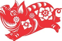 Tử vi đầy đủ cho người tuổi Hợi năm Canh Tý 2020