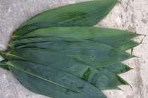 Nhặt lá tre rụng về bán mà thành tỷ phú