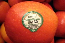 Thấy tem dán trên trái cây bắt đầu bằng số này, chị em chớ dại mà mua