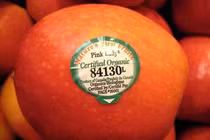 Thấy tem dán trên trái cây bắt đầu bằng số này, chị em chớ dại mà mua