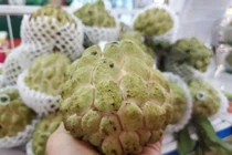 Na khổng lồ đổ bộ Hà Nội, 200.000 đồng/quả vẫn cố mua nếm thử