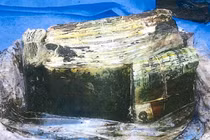 Vớ phải "kho báu khủng" dưới lòng đất khi đào móng xây nhà