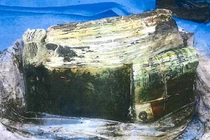 Vớ phải "kho báu khủng" dưới lòng đất khi đào móng xây nhà