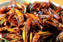 Chị em Hà thành đổ xô mua châu chấu làm món nhậu chiều chồng