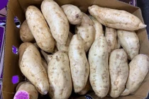 Dân Việt không ngại chi tiền triệu mua khoai lang tím Úc về ăn