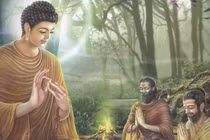 Muốn tìm được hạnh phúc, đừng đặt nặng 7 chữ “quá" mang họa sát thân