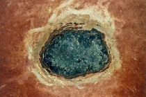 Tiểu hành tinh 150km đâm vào Trái đất, hàng loạt sinh vật mới ra đời