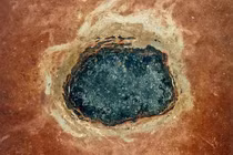 Tiểu hành tinh 150km đâm vào Trái đất, hàng loạt sinh vật mới ra đời