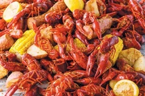 Bất chấp lệnh cấm, loài nguy hiểm này vẫn được rao bán công khai