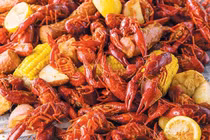 Bất chấp lệnh cấm, loài nguy hiểm này vẫn được rao bán công khai