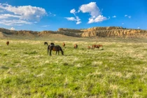 Điền trang trị giá 325 tỷ đồng của vợ chồng Kim Kardashian