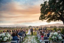 Đôi vợ chồng đeo khẩu trang, làm lễ cưới cạnh đám cháy rừng