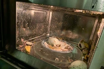 Luộc trứng bằng lò vi sóng, cô gái nhận ngay cái kết "tanh bành"