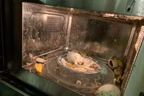 Luộc trứng bằng lò vi sóng, cô gái nhận ngay cái kết "tanh bành"