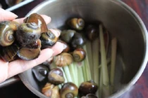 Những sai lầm chết người khi ăn ốc mà nhiều người mắc phải