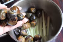 Những sai lầm chết người khi ăn ốc mà nhiều người mắc phải