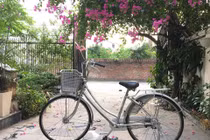 Xe mini Nhật, huyền thoại 1 thời, trôi nổi nơi đâu