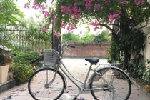 Xe mini Nhật, huyền thoại 1 thời, trôi nổi nơi đâu