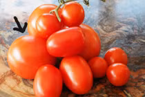 Bí quyết nhận biết cà chua "tắm ngập" trong hoá chất độc hại