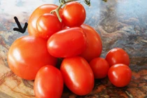 Bí quyết nhận biết cà chua "tắm ngập" trong hoá chất độc hại