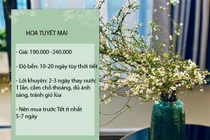 Chị em rộ mốt chơi hoa nhập khẩu giá rẻ, khoảng 200 ngàn/ bó