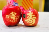 Táo in hình chuột đắt hàng, ăn 1 quả mất gần triệu bạc