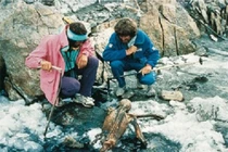 Xác ướp 5000 năm tuổi Otzi và lời nguyền bí ẩn