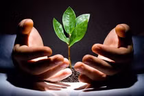 5 dấu hiệu chứng tỏ một người có phúc hậu, sống đức độ