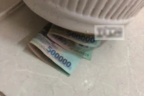 Lương chồng bỗng giảm từ ngày có "cây phong thủy"