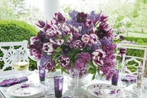 Trang trí nhà thêm rực rỡ với các loại rau gia vị dùng thừa