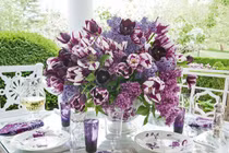 Trang trí nhà thêm rực rỡ với các loại rau gia vị dùng thừa