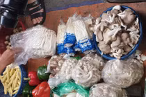 Nấm Trung Quốc "phá đảo" khắp chợ dân sinh