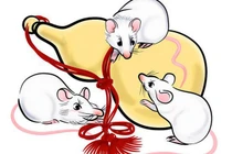 3 con giáp Thần Tài phù hộ, cuộc sống lên hương trong 30 ngày tới