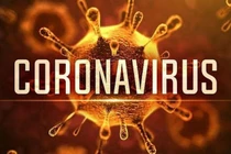 Bác sĩ nói gì về “quan hệ tình dục giúp chống virus corona”?