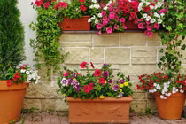 Vài thay đổi nhỏ giúp ngôi nhà lung linh đón xuân về