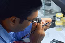 Dubai chơi trội, mở phiên đấu giá kim cương "khủng" nhất TG